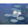 Klod Mone lokvanji štampa na platnu kanvas reprodukcije slike na zidu