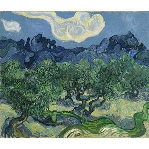 Van Gog drveće maslina štampa na kanvas platnu home dekor