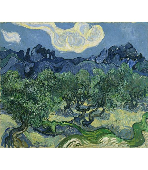 Van-Gog-drveće-maslina-štampa-na-kanvas-platnu Van Gog drveće maslina štampa na kanvas platnu home dekor