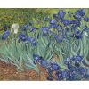 Van Gog irisi štampa na kanvas platnu home dekor