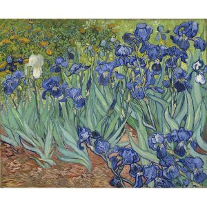 Van Gog irisi štampa na kanvas platnu home dekor